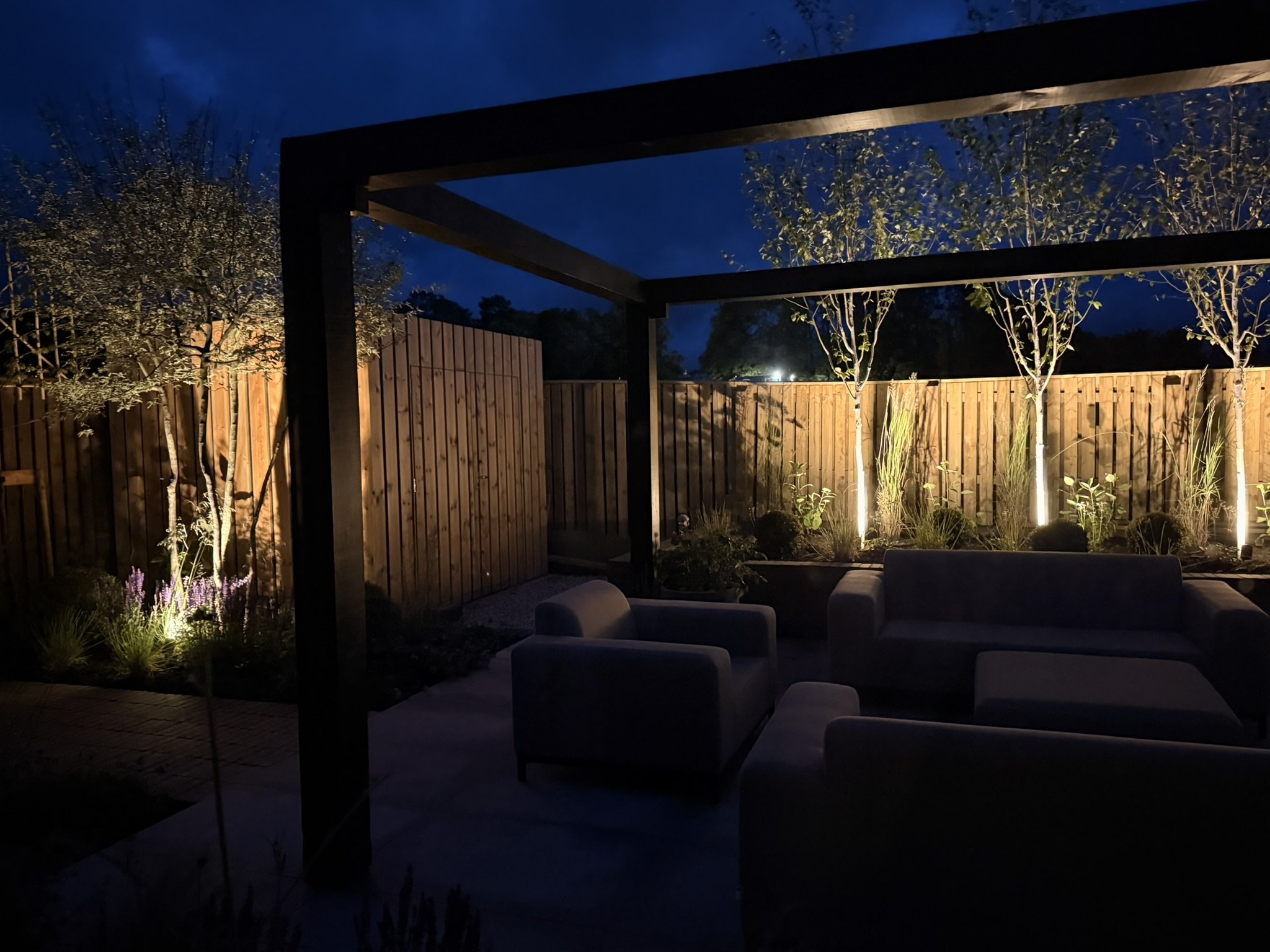 view from house with uplighting highlighting statement trees
