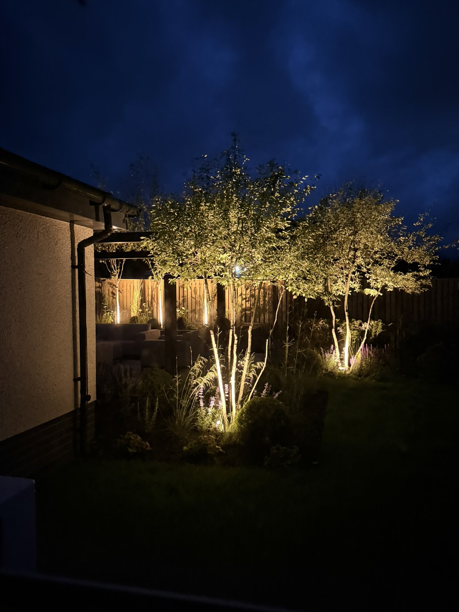 focal points highlighted with lighting in modern garden project