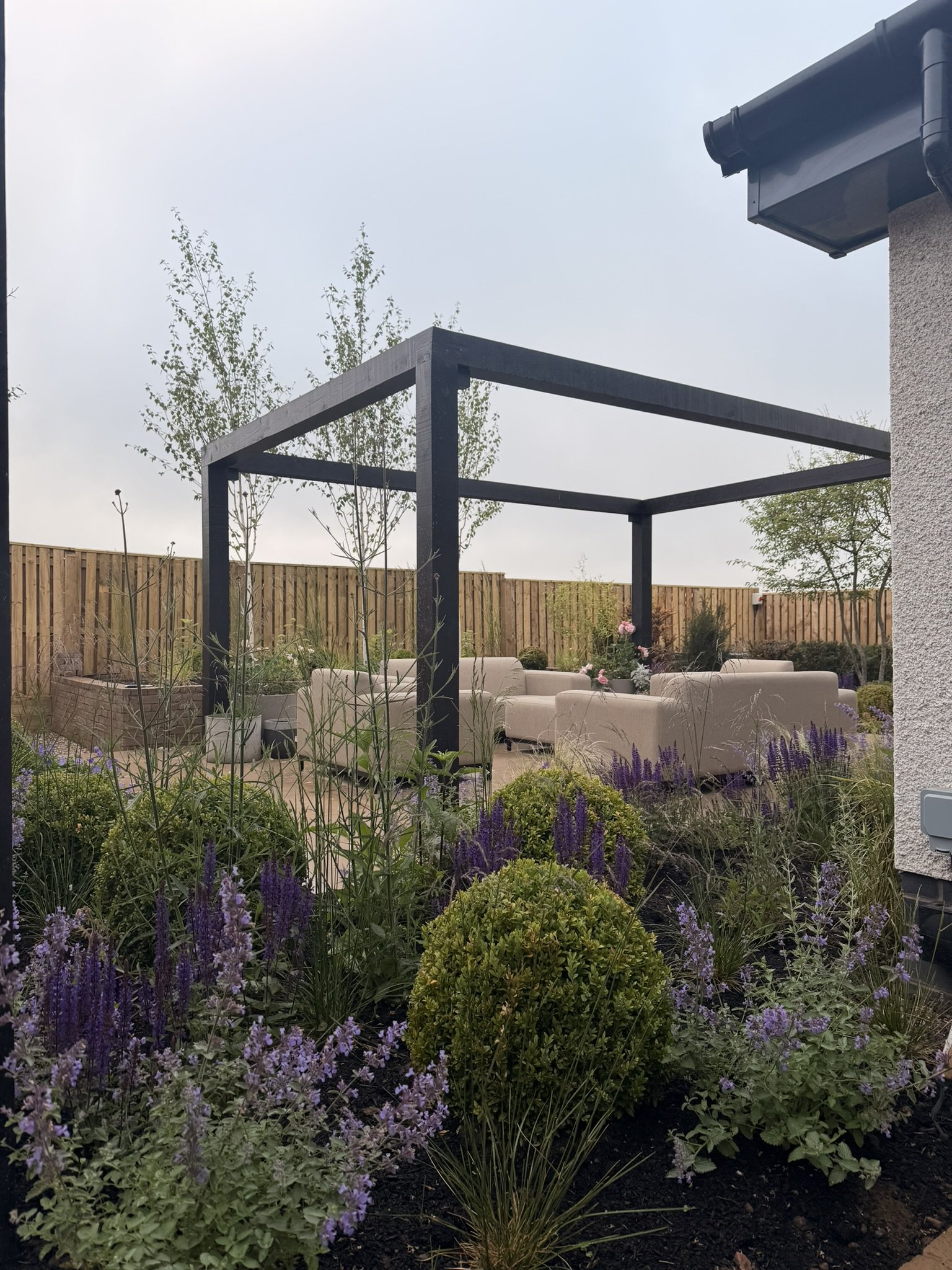 bespoke black pergola in Scottish Larch