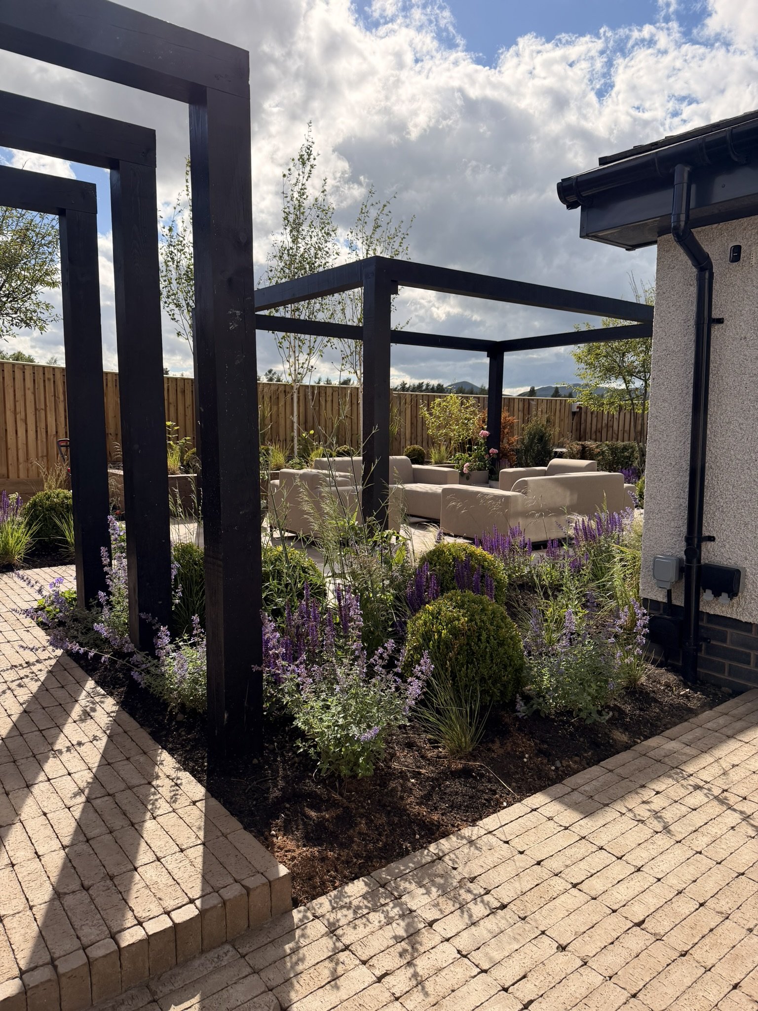 planting design to complement contemporary garden build
