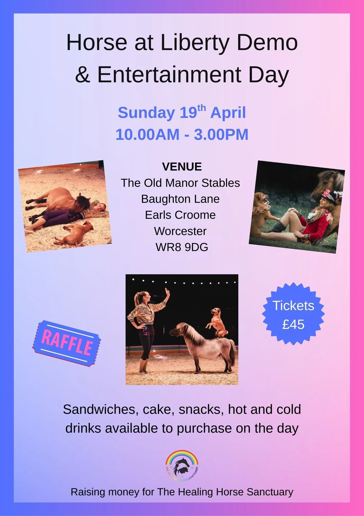 Horse At Liberty Day.jpg