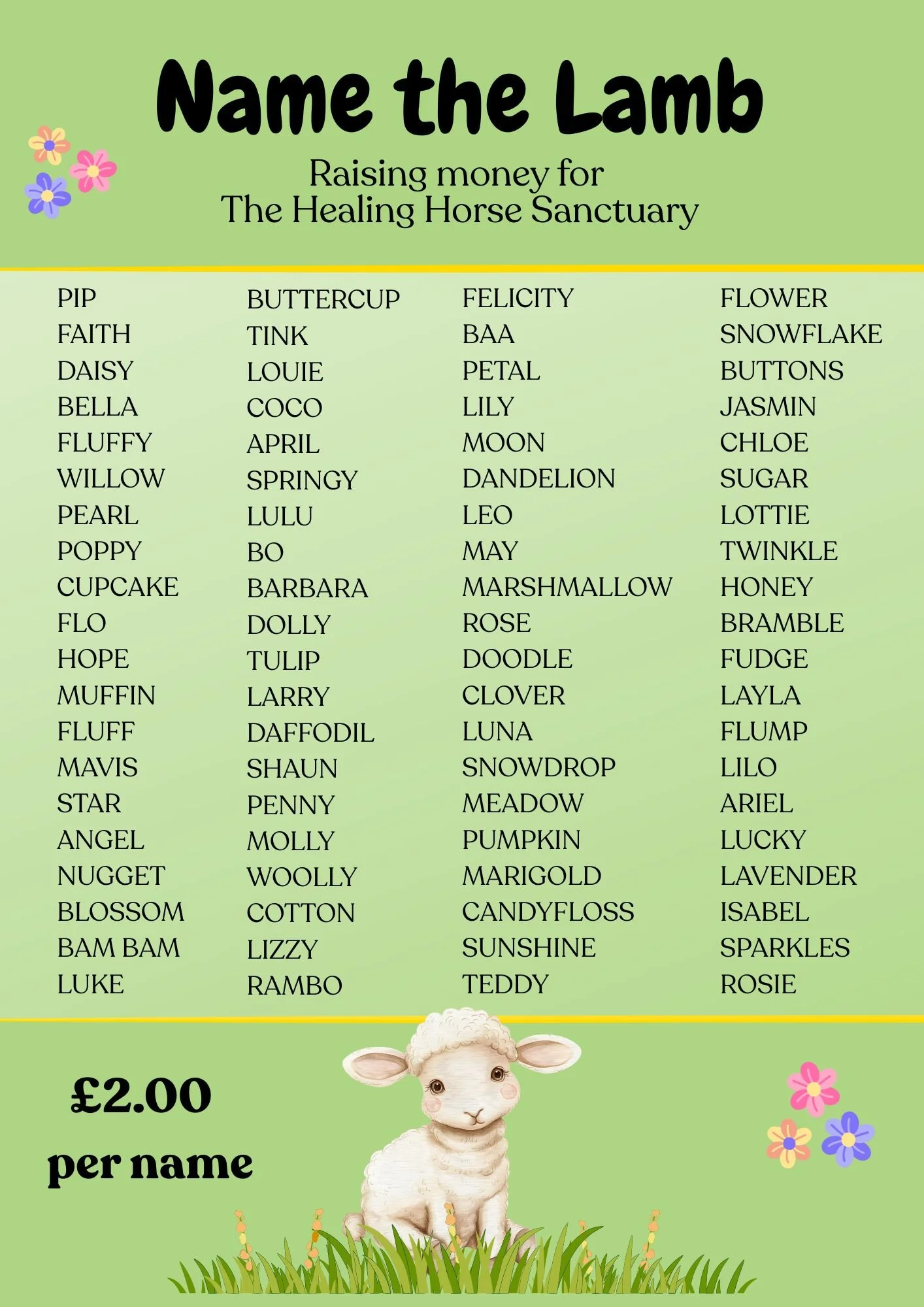 Name the lamb (1).jpg
