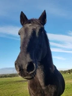 Oscar