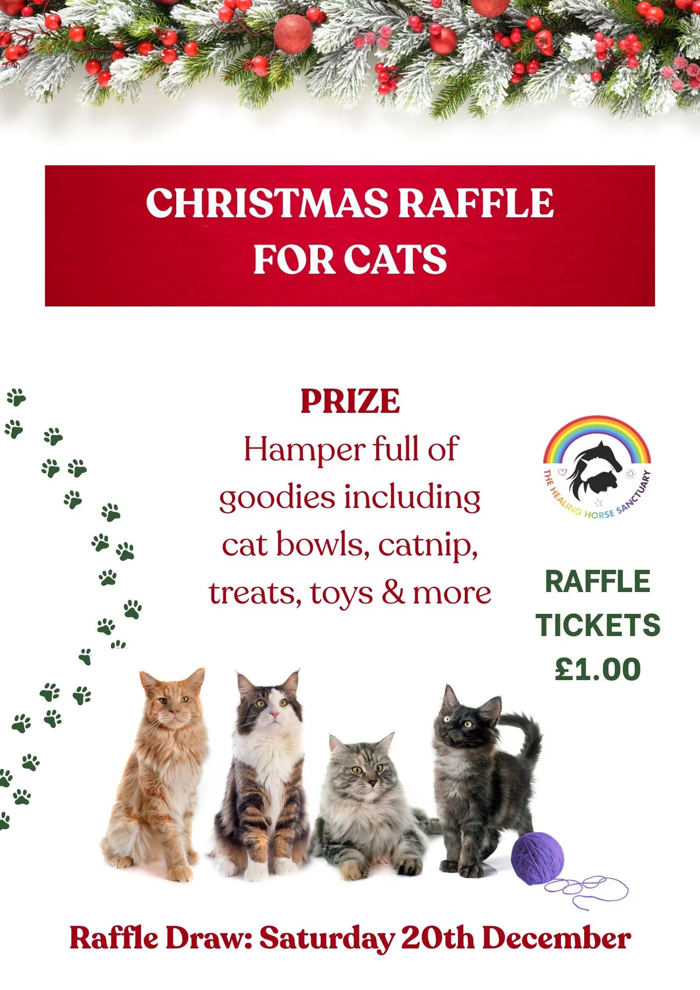 Christmas raffle for cats.jpg