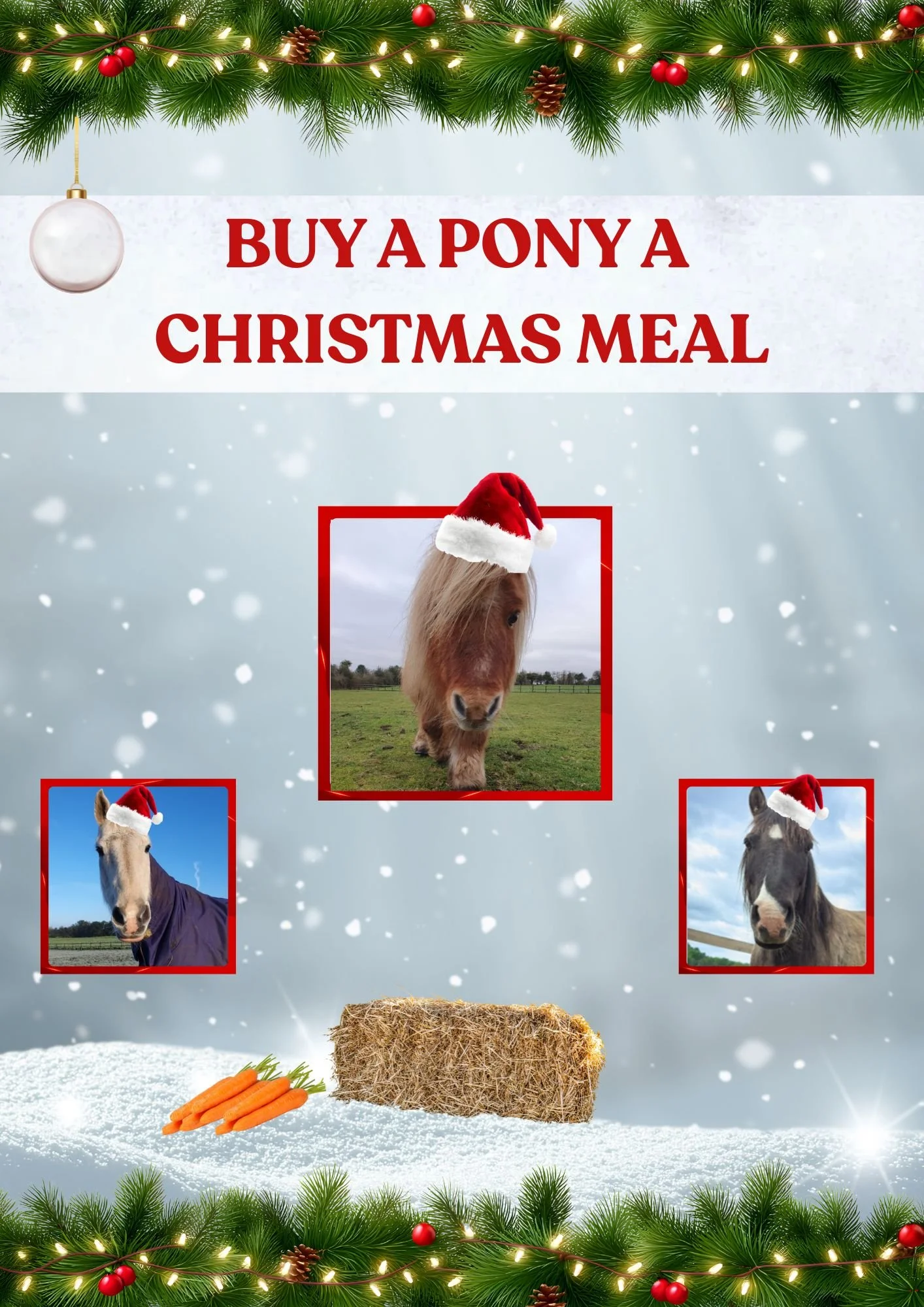 Buy a pony a christmas meal.jpg