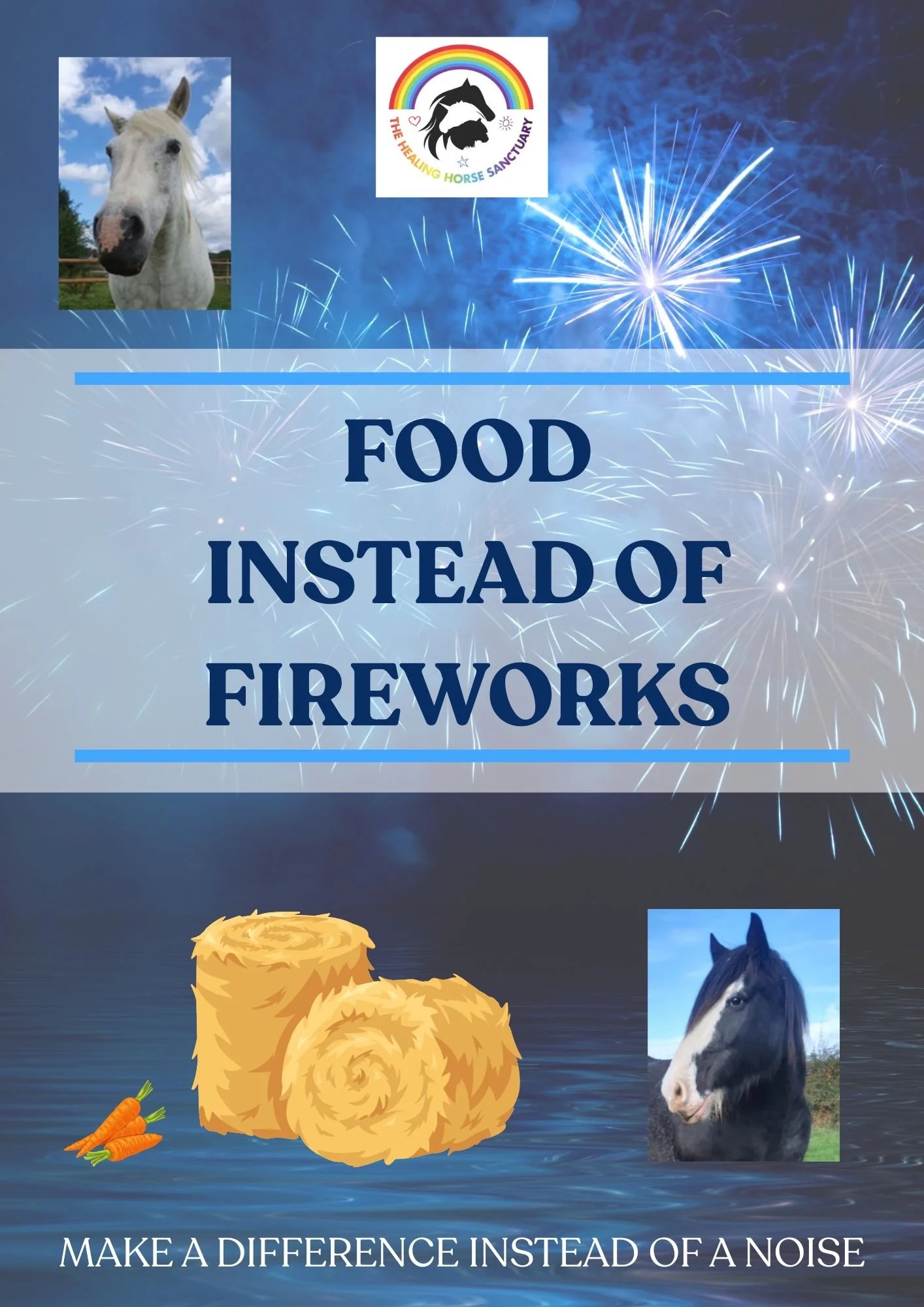 Food not Fireworks.jpg