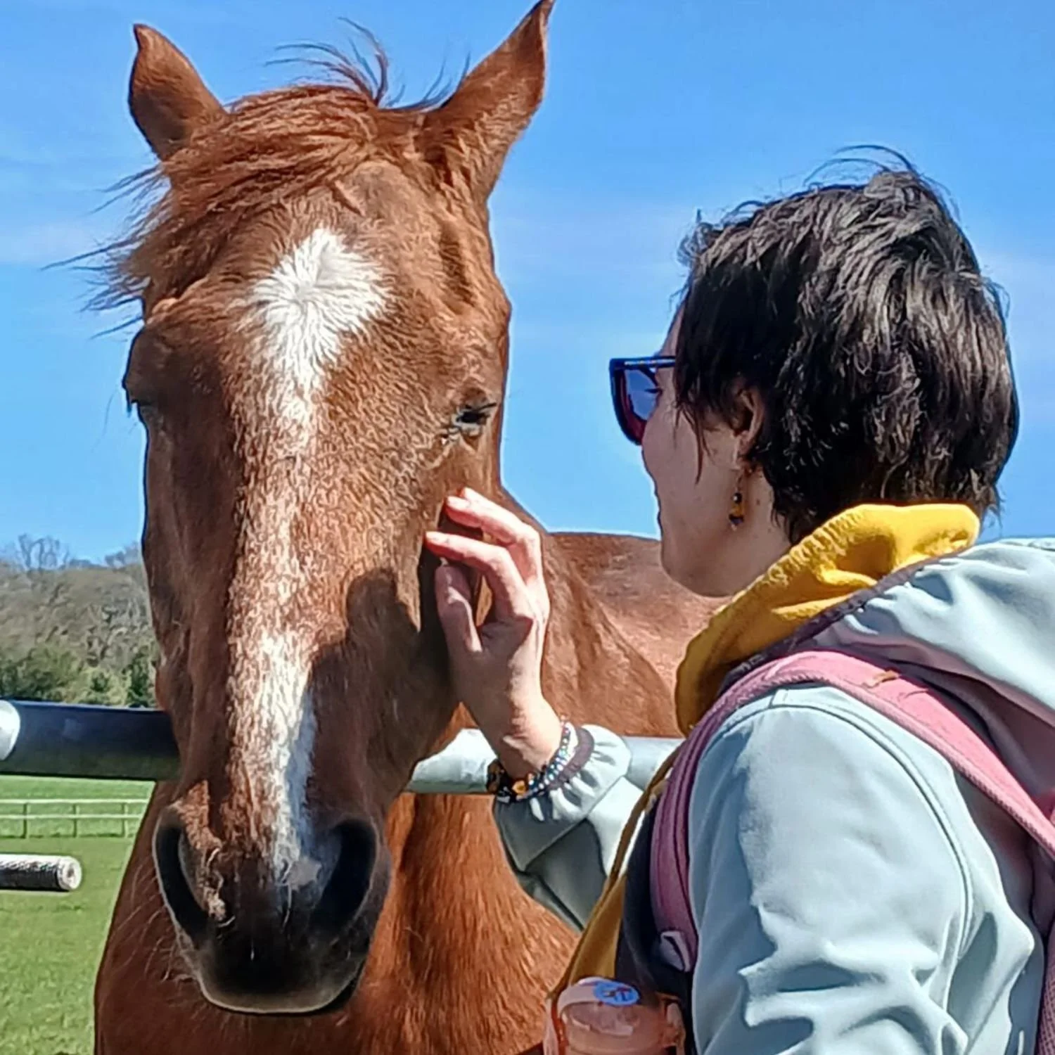 Healing With Horses Therapy Session