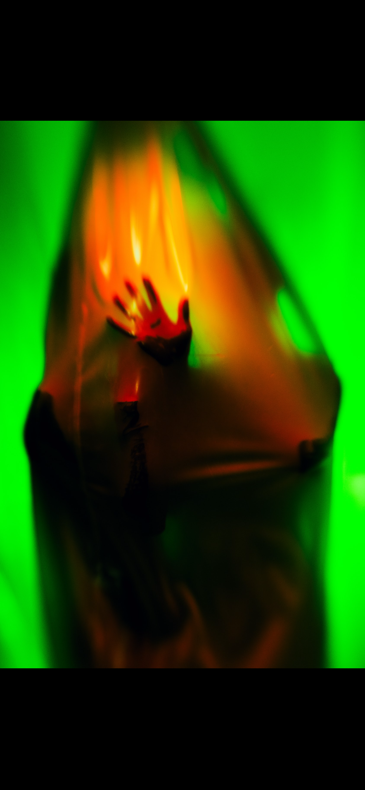 IMG_3874.PNG