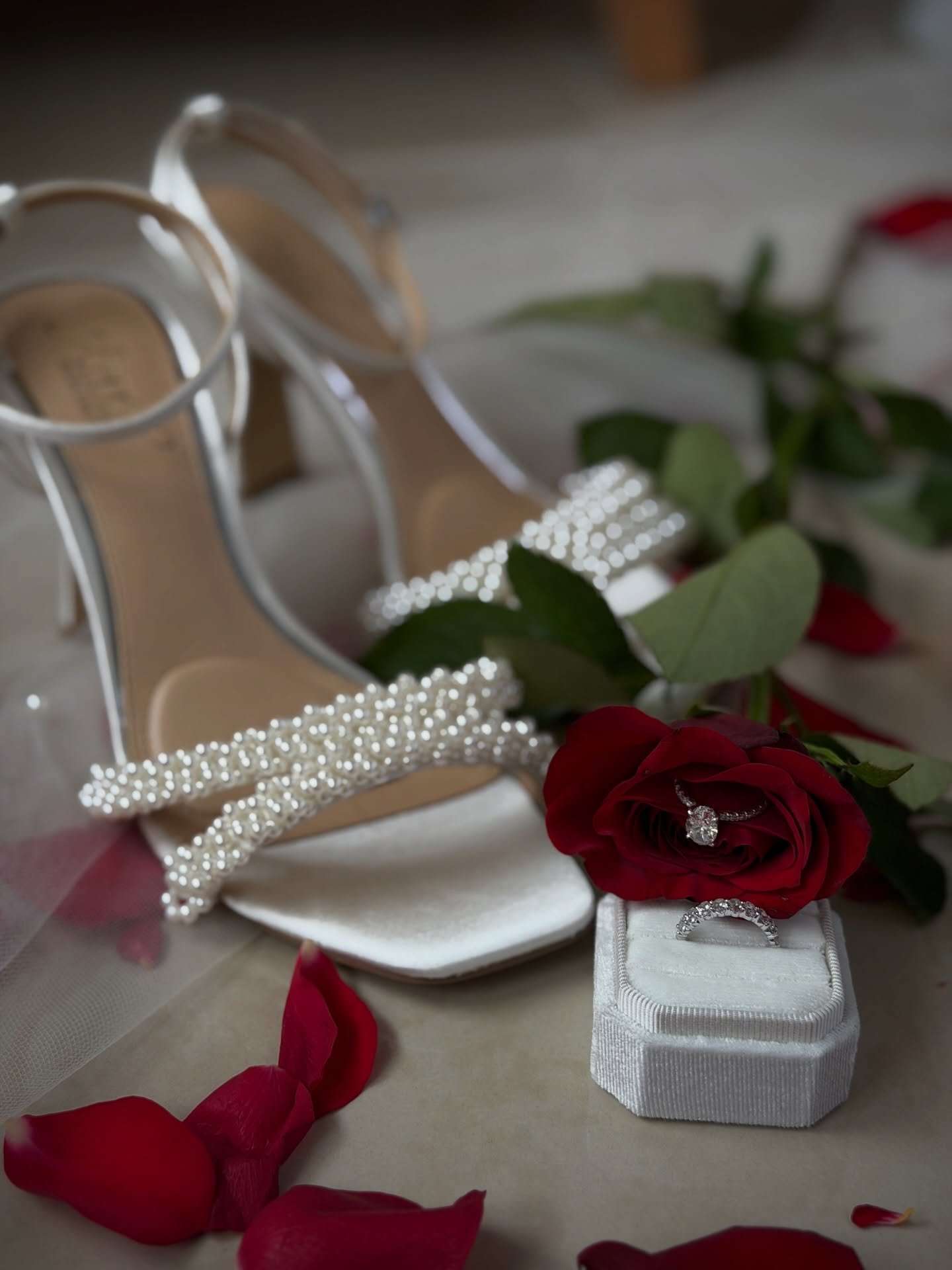 Details from yesterday for S + B 🥀