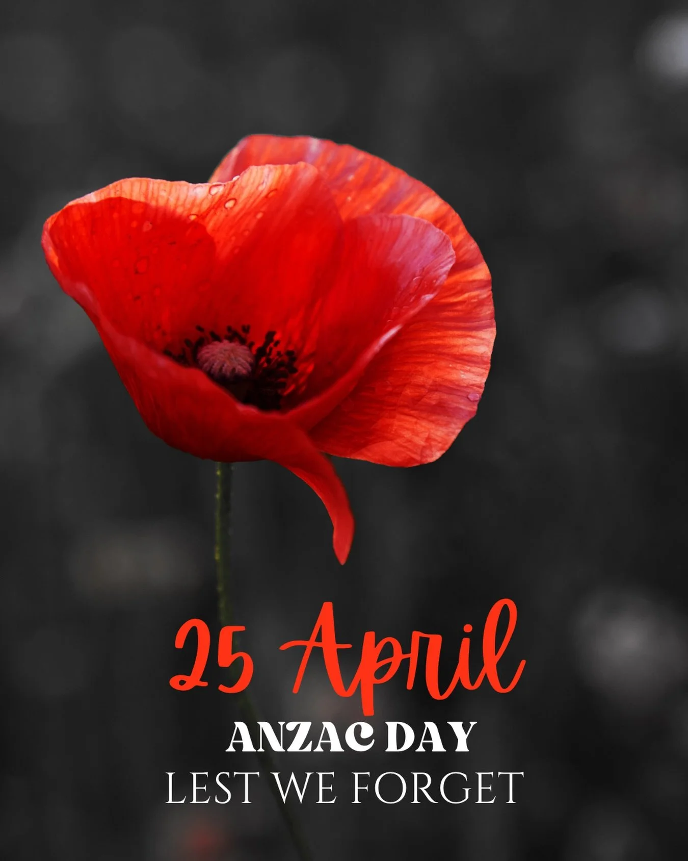 Lest we forget &hearts;️

Honouring the courage, sacrifice, and service of those who fought for our freedom this ANZAC Day.
