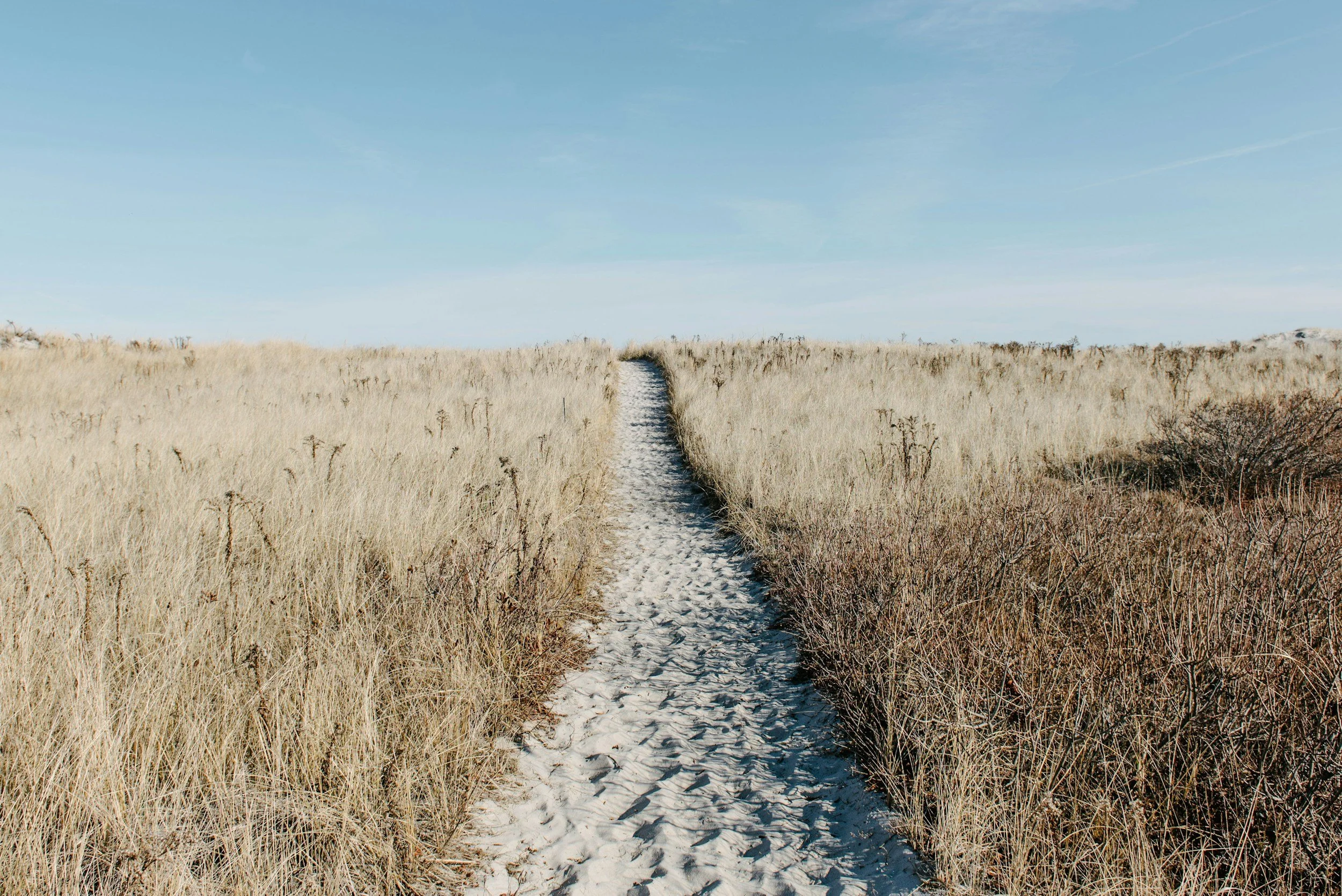 A sandy dirt path cutting through tall, dry grass on either side under a clear blue sky.
