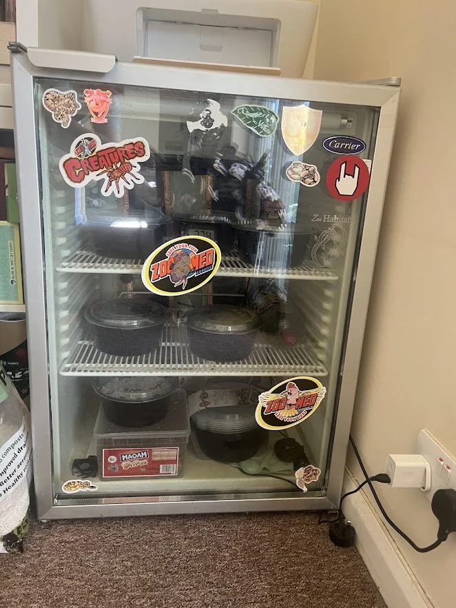 A converted fridge into a reptile incubator