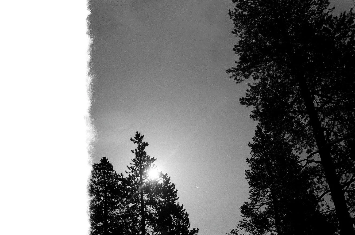 Copy of 000004550001.jpg