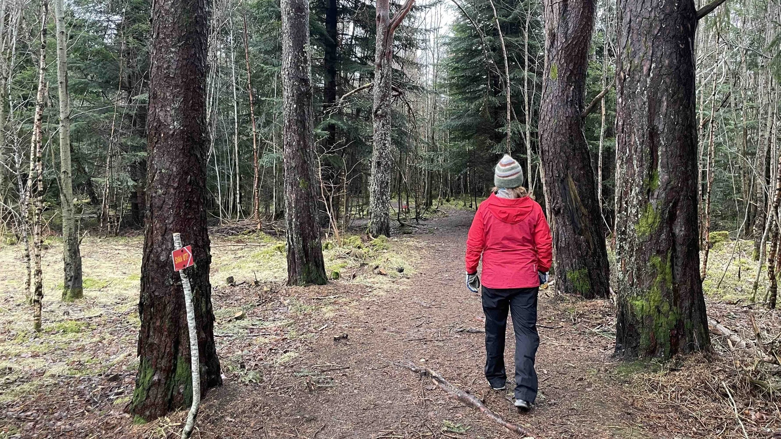 På eventyr i Retiroskogen