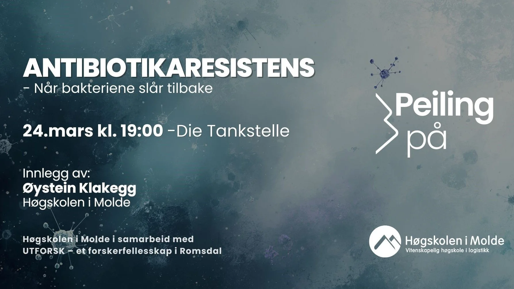 Peiling på: Fra torsk til tare