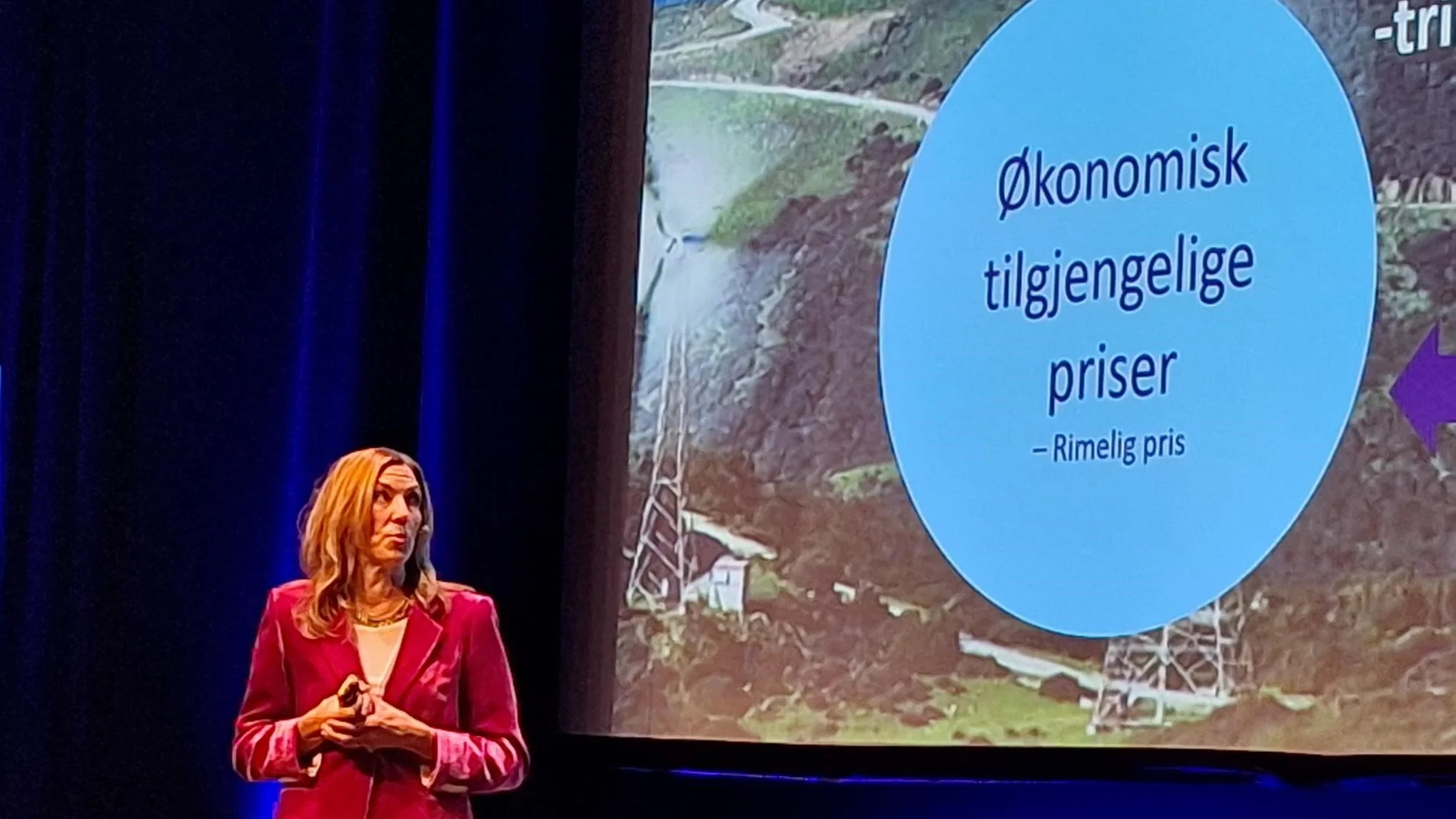 Thina Saltvedt: – Energikrisen rammer langt bredere enn olje- og gassbransjen