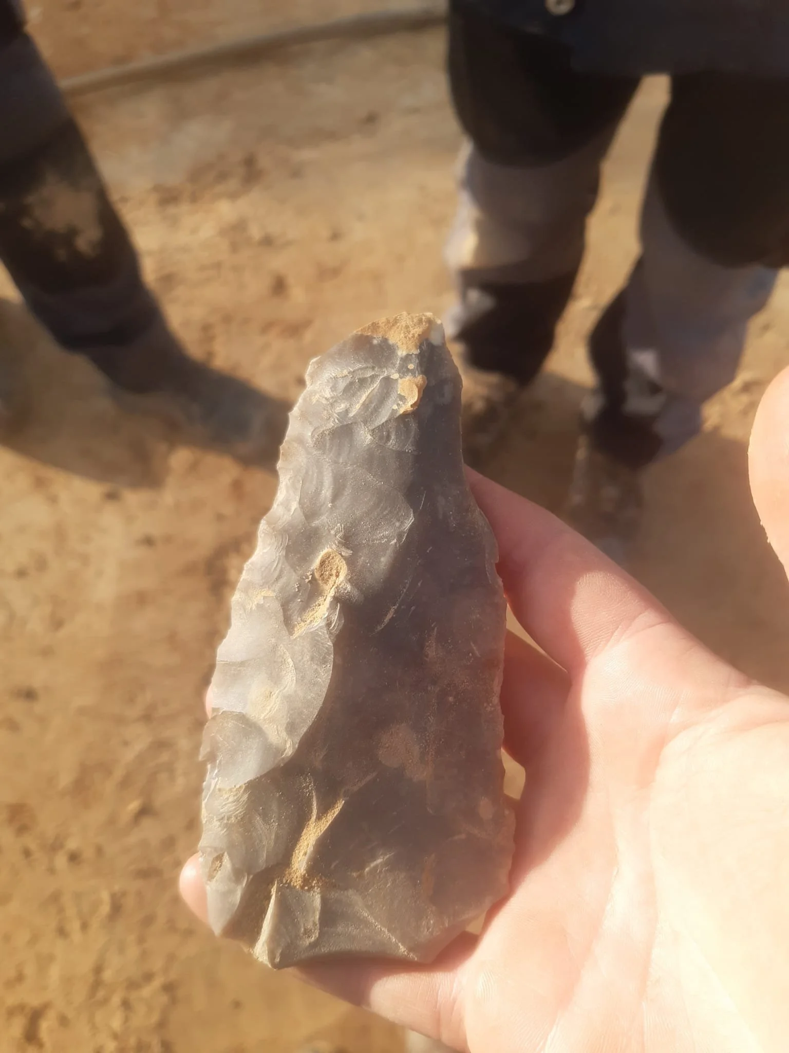 WhatsApp Image 2025-12-01 at 12.03.59.jpeg