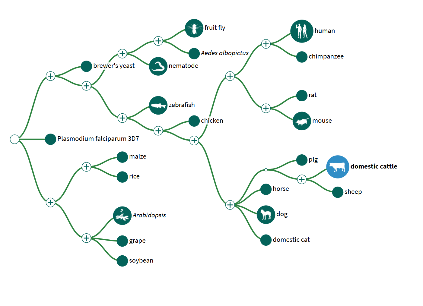 Data Viz: Exploring Data Hierarchies with JavaScript