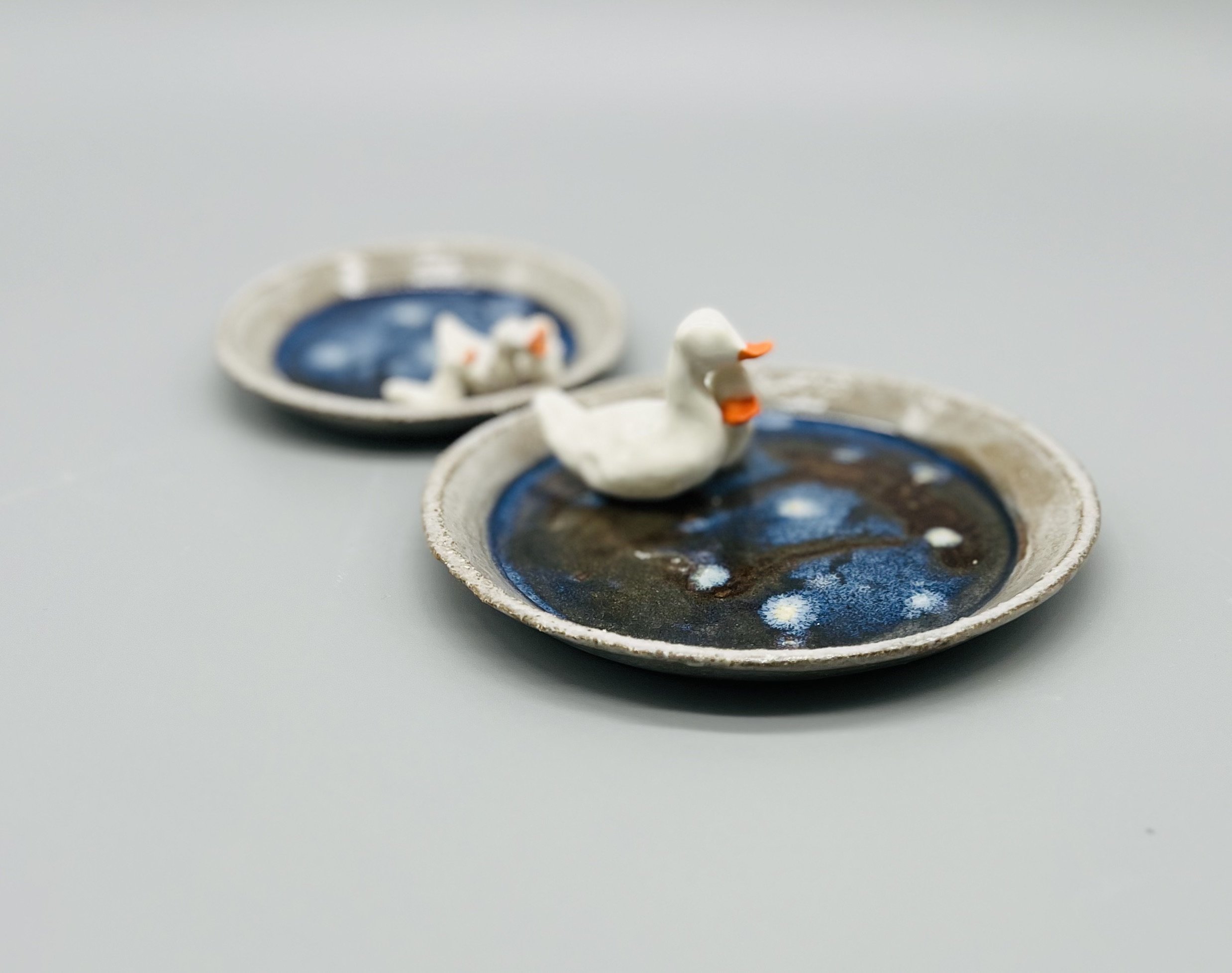 Duck Family starry water duo bowls focus.jpeg