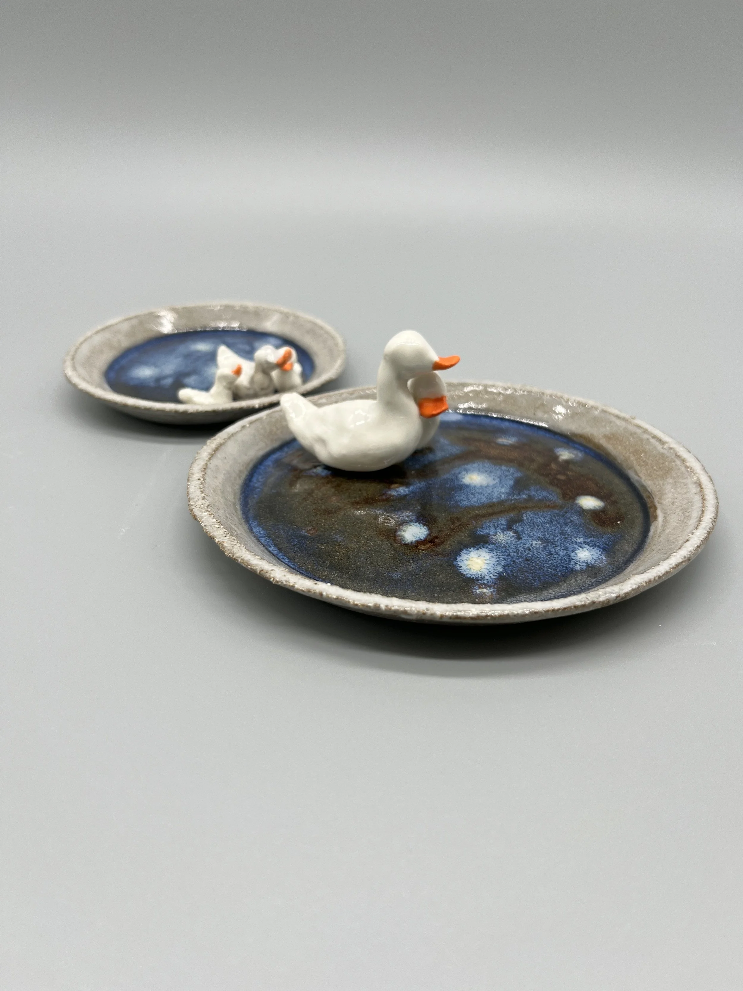 Duck Family Starry water duo bowls.jpeg