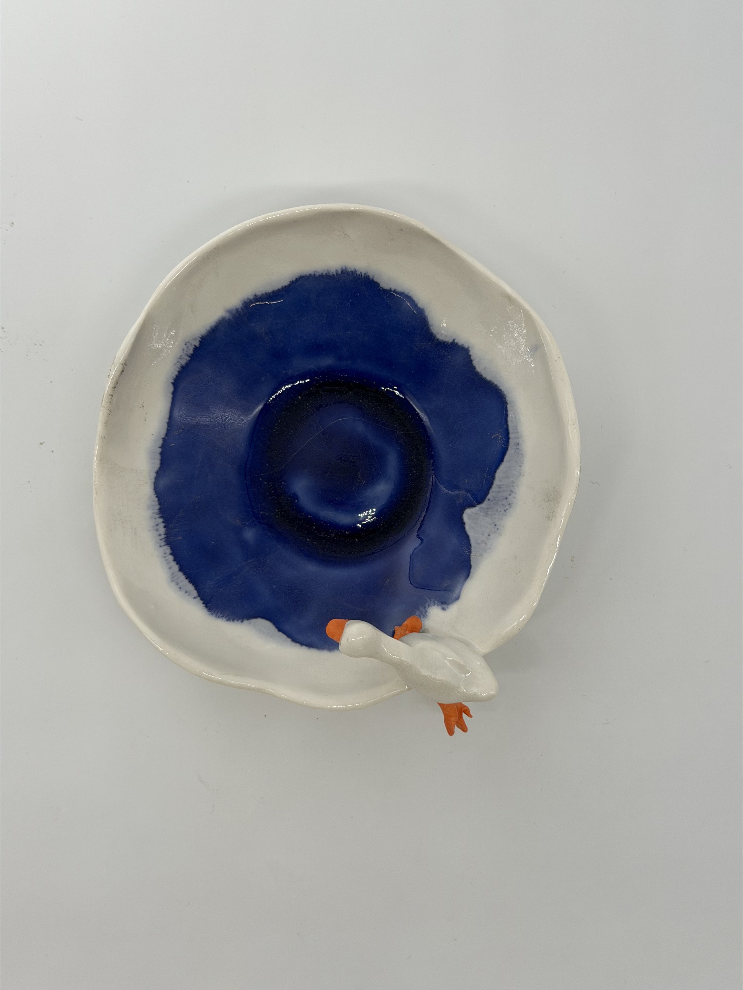 Duck %22testing the water%22 (Above).jpeg