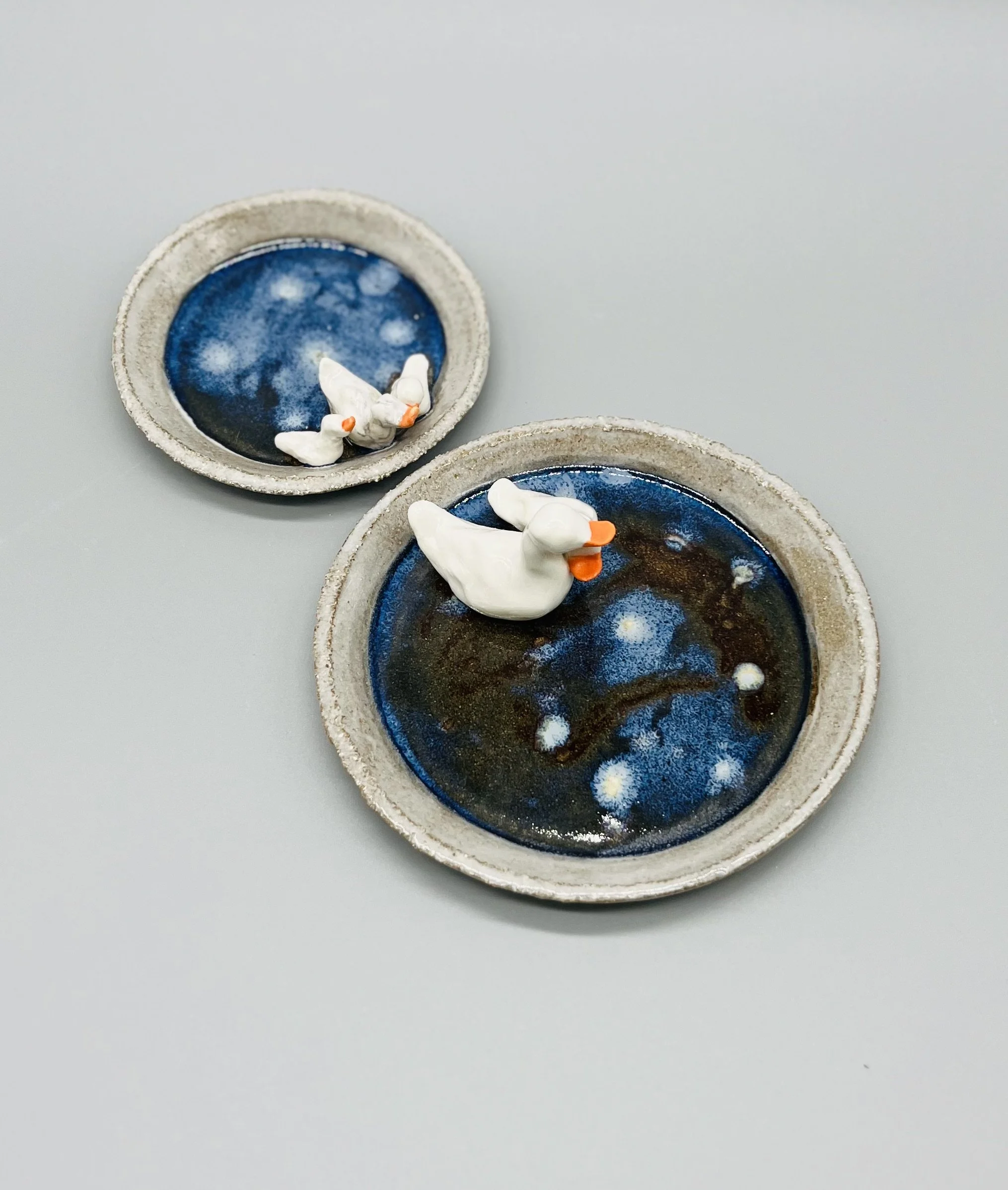 Duck family starry water duo bowls .jpeg