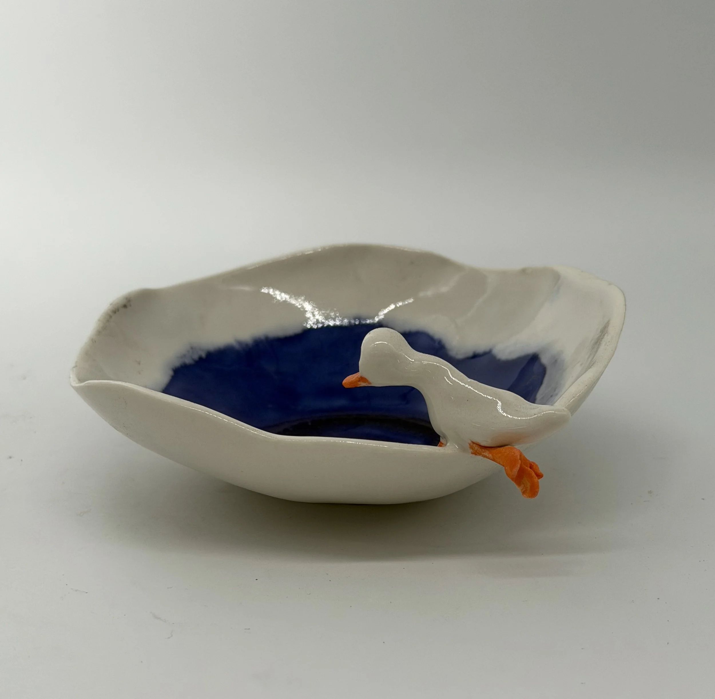 Duck %22testing the water%22 (2).jpeg