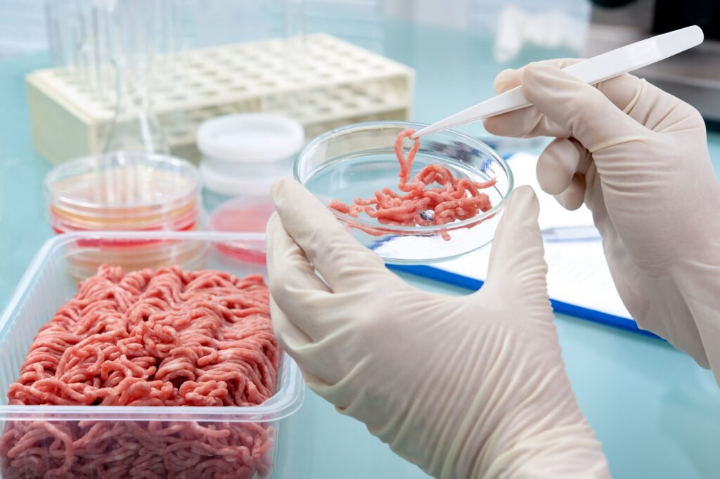 Foodborne Disease Trends in Lebanon: ground raw meat and cooked chicken were the leading suspects