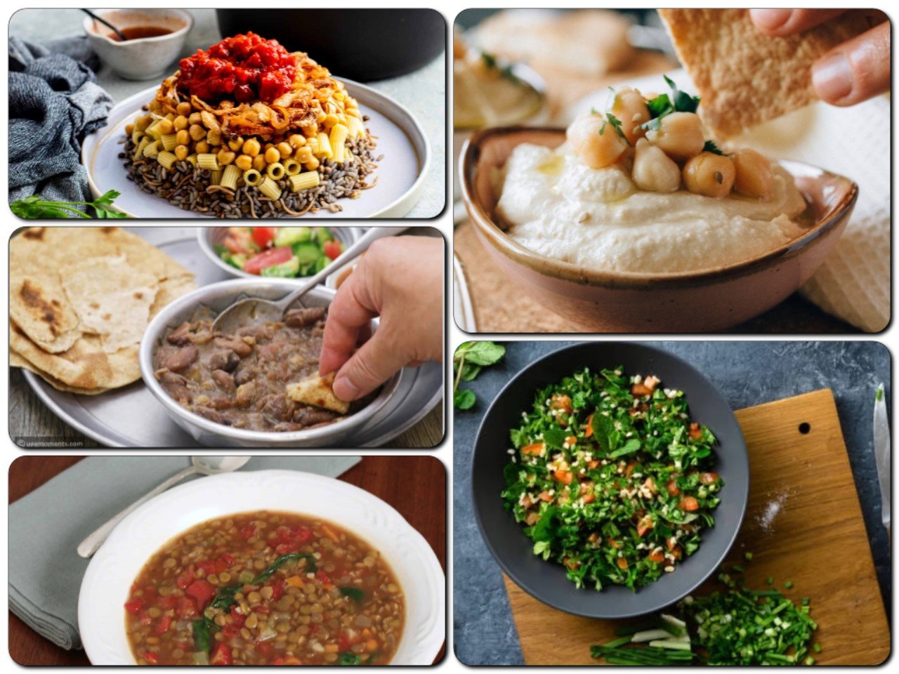 Exploring the Rich Heritage of Plant-Based Cuisine from the Middle East and North Africa