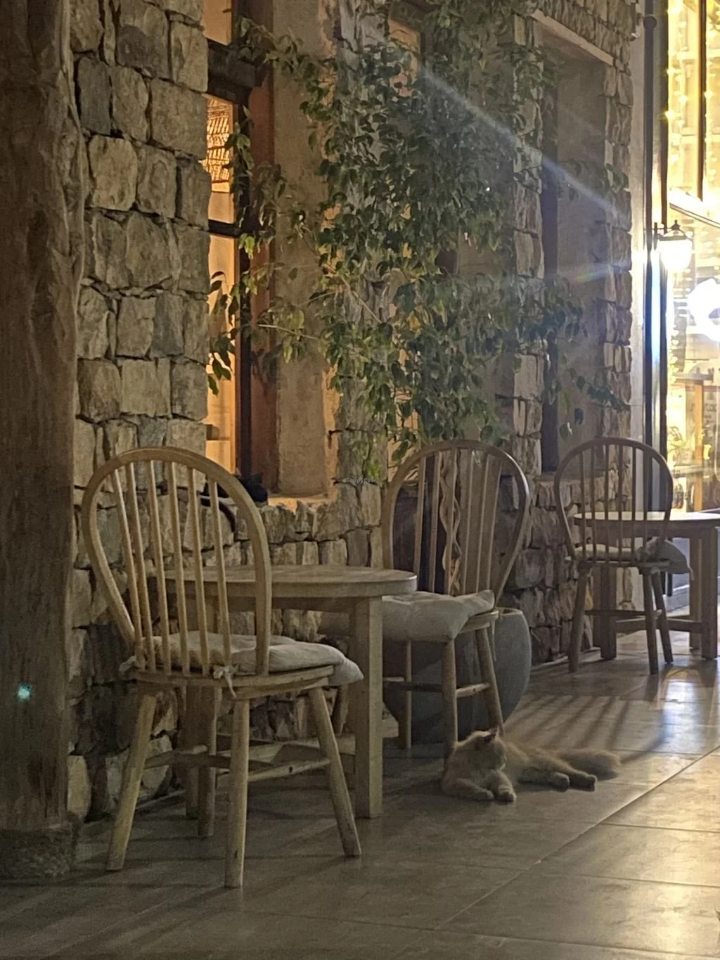 Moon Shell Vegan 11.jpeg