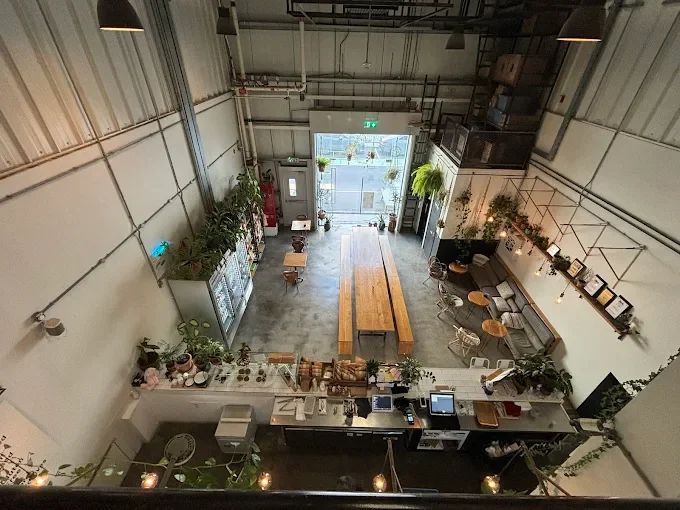 Wild & The Moon –6.webp