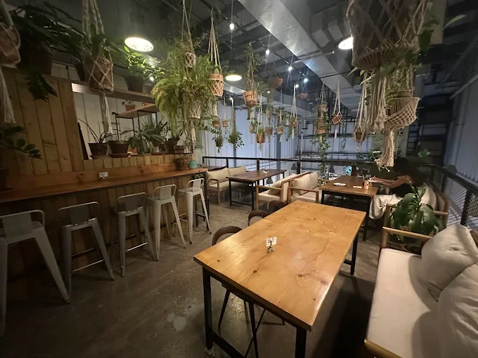 Wild & The Moon – 5.webp