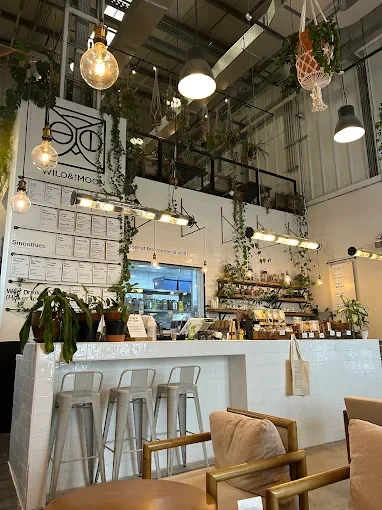 Wild & The Moon – 3.webp