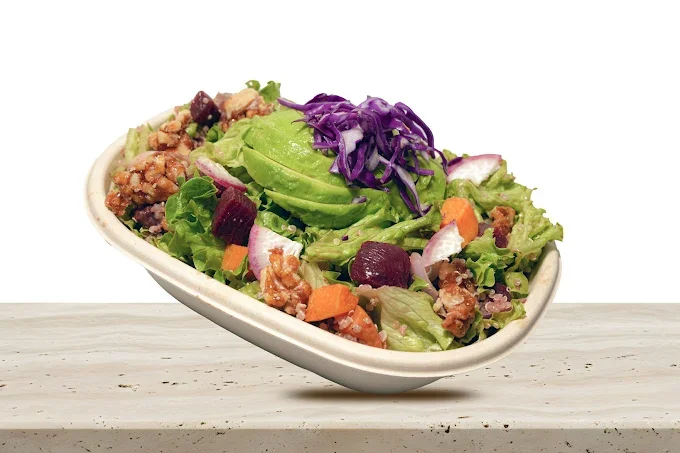 Vegan Burger 2 The Dubai Mall.webp