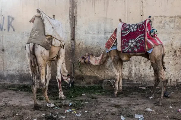 What Travelers Should Know: Spotting Exploitation and Choosing Alternatives in the Middle East