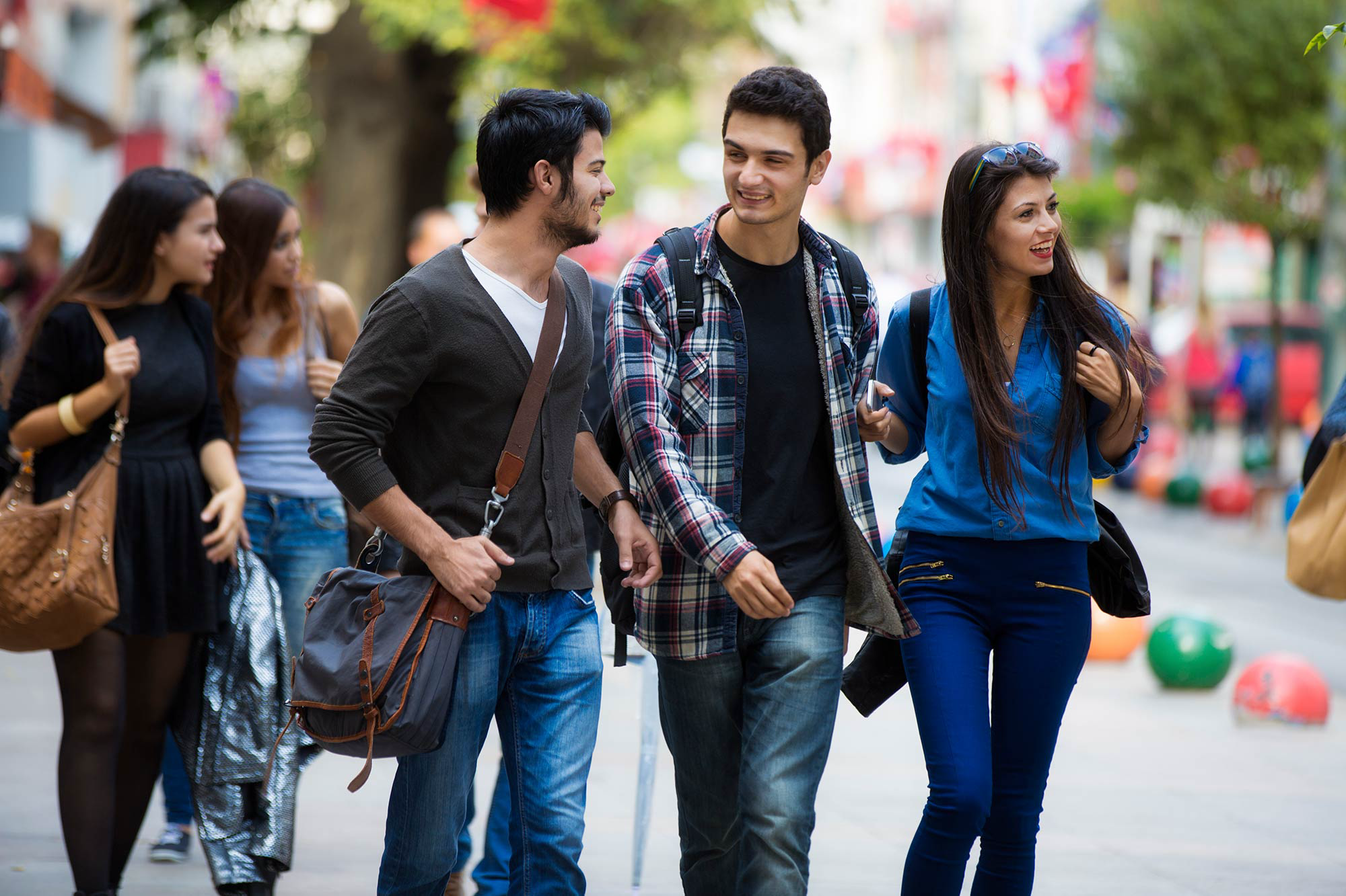 Meat, Masculinity, and Justification: Insights from Recent Studies in Turkey