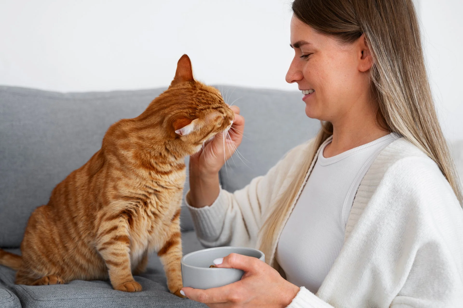 Vegan Cat Food in the Middle East: A Quiet Market Finding Its Place