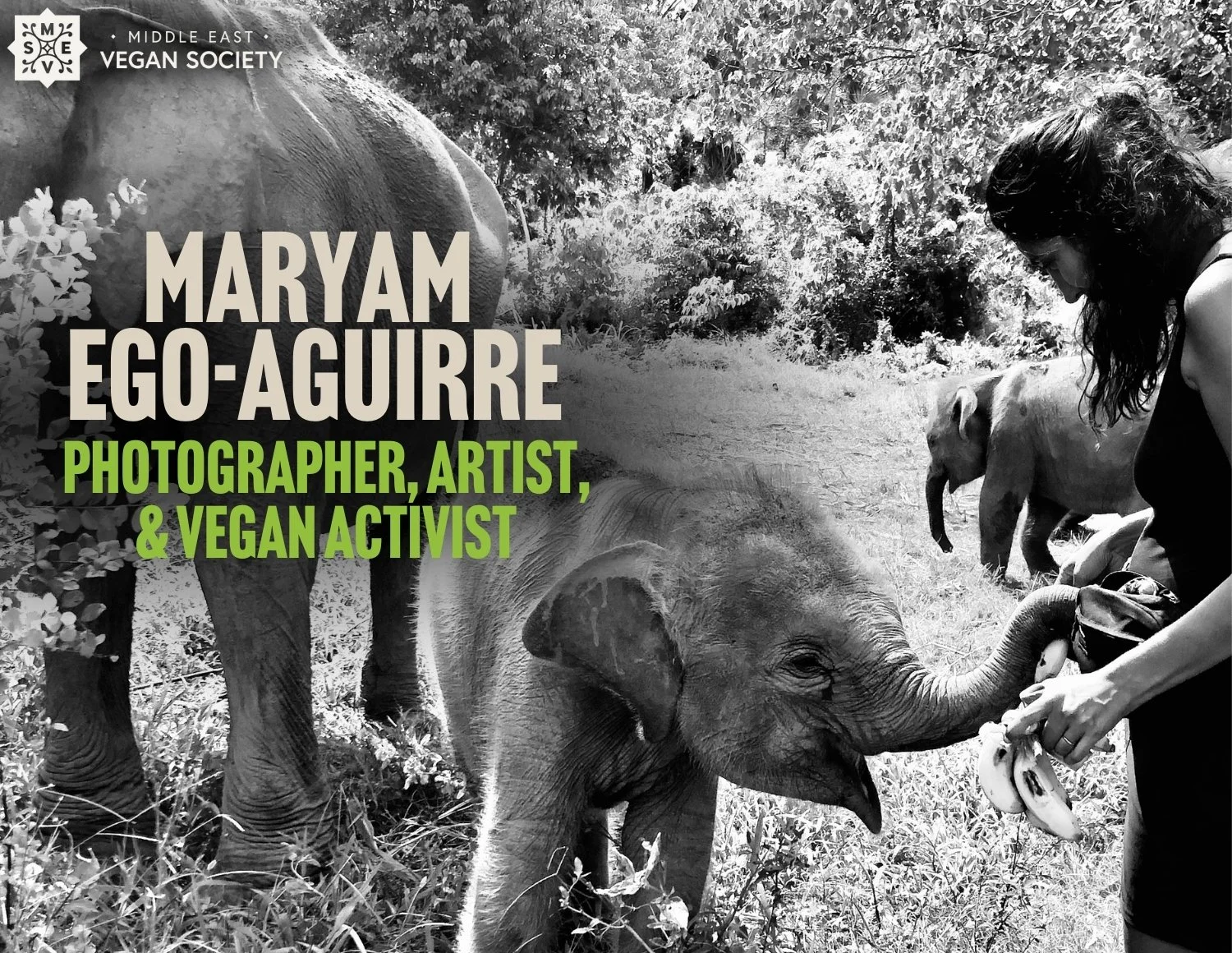 Interview with Maryam Ego-Aguirre: Seeing the Sacred in All Sentient Life
