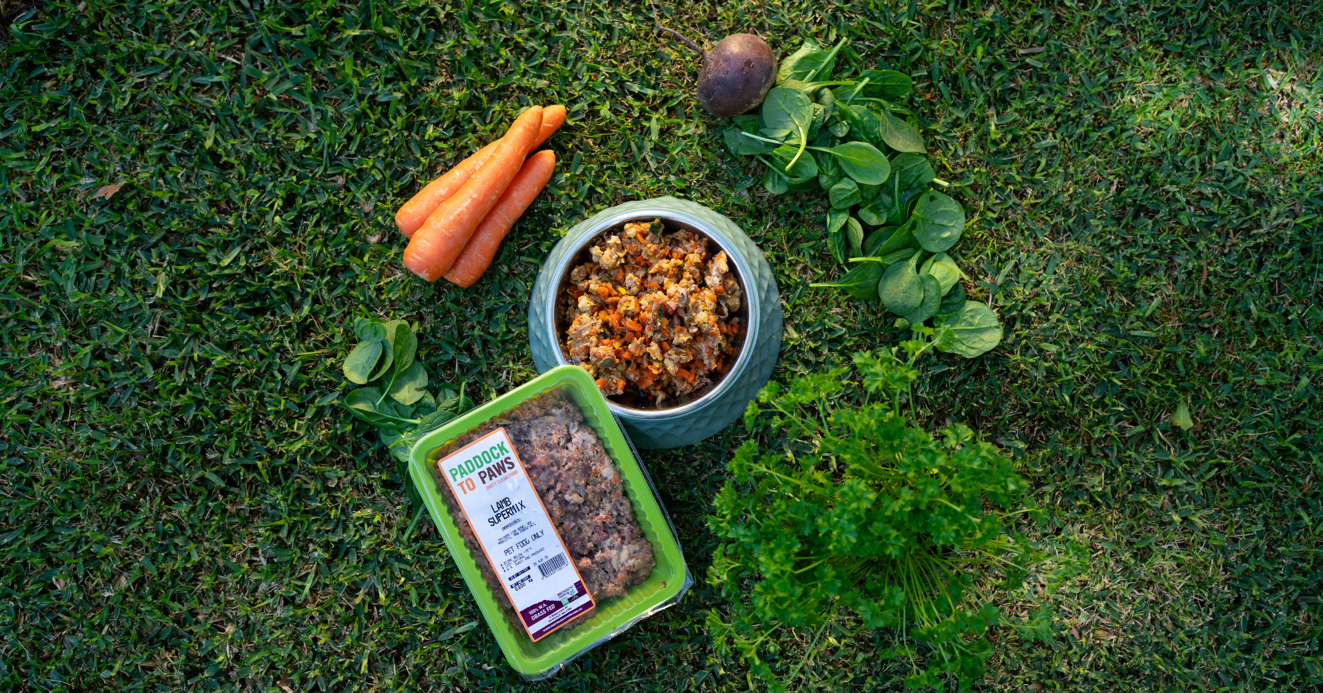 Fresh carrots, a purple beet, leafy greens, and a container of raw lamb for pet food arranged on grass, with a bowl of cooked lamb and vegetables in the center.