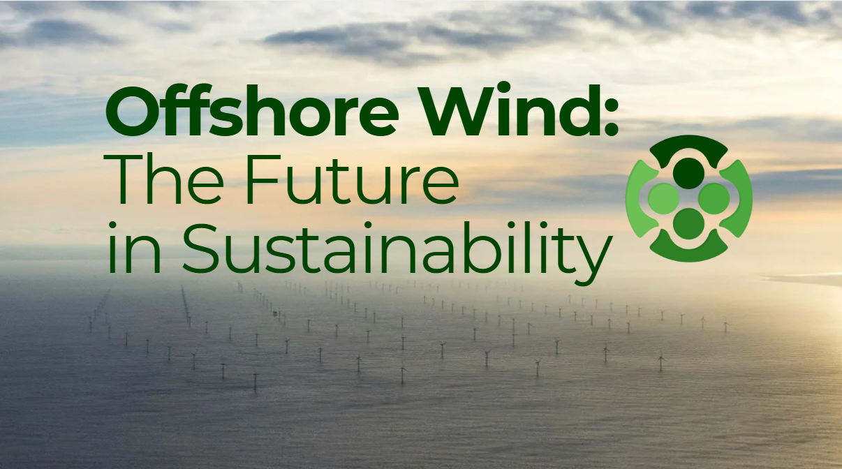       
  
     Offshore Wind:  The Future in Sustainability   Offshore Wind’s Political and Geopolitical Moment   In 2024, wind became Britain’s largest source of electricity for the first time, generating 83TWh, or around 31% of all electricity cons