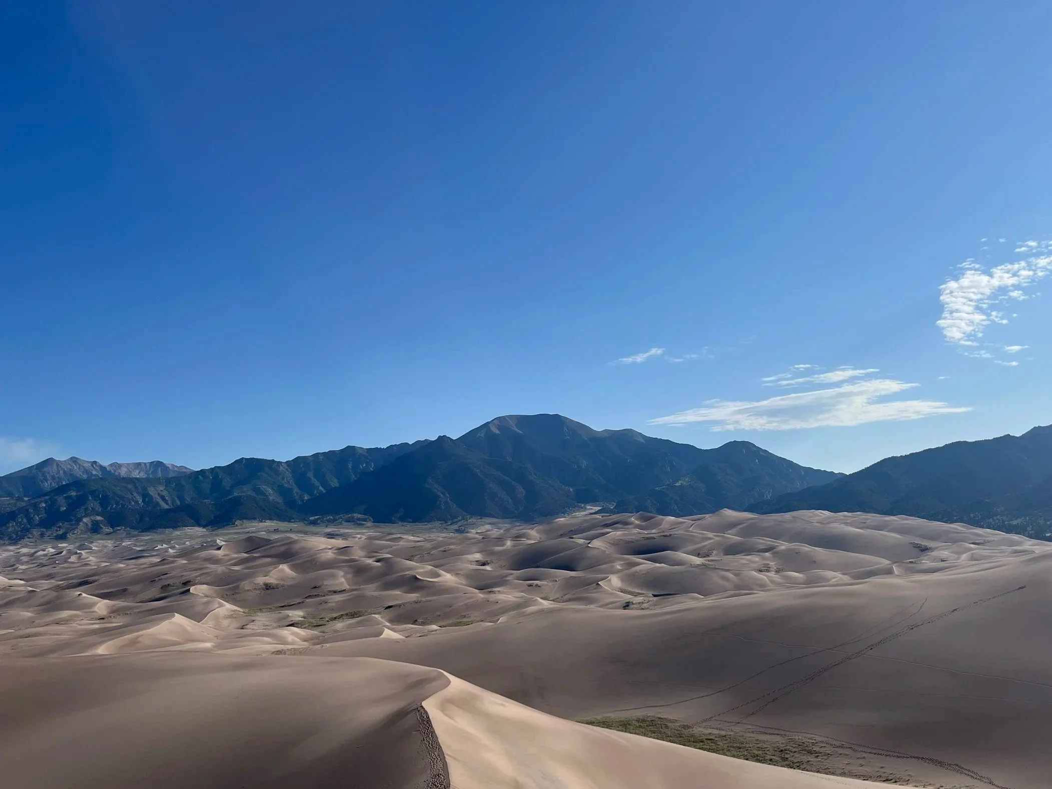 How Do I Know If My Child Actually Needs a Psychological Evaluation?