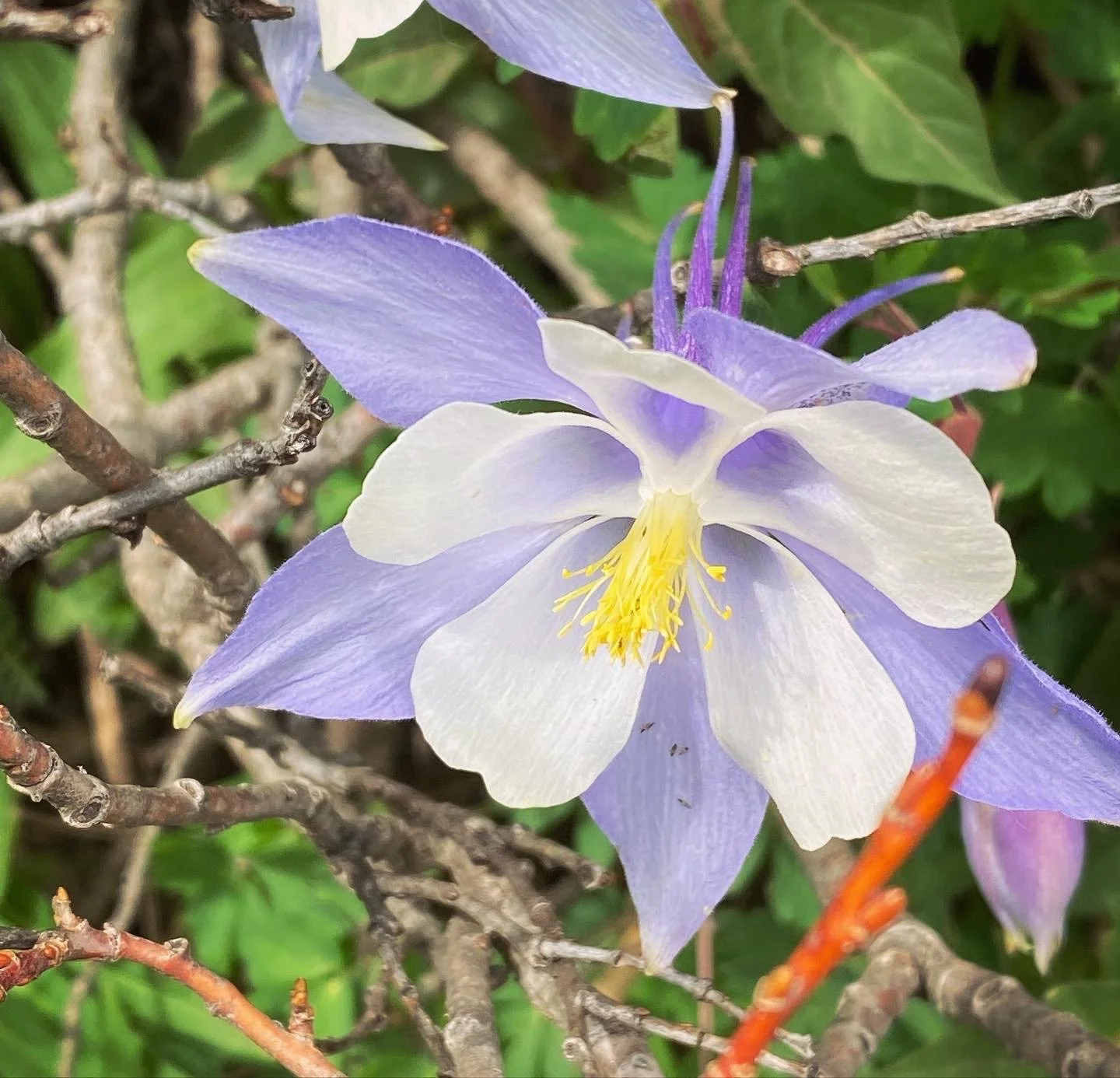 Why Are Psychological Assessments So Expensive?