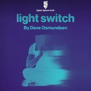 Cover of the book 'Light Switch' by Dave Osmundsen, with a stylized illustration of a person adjusting a light switch on a dark background.