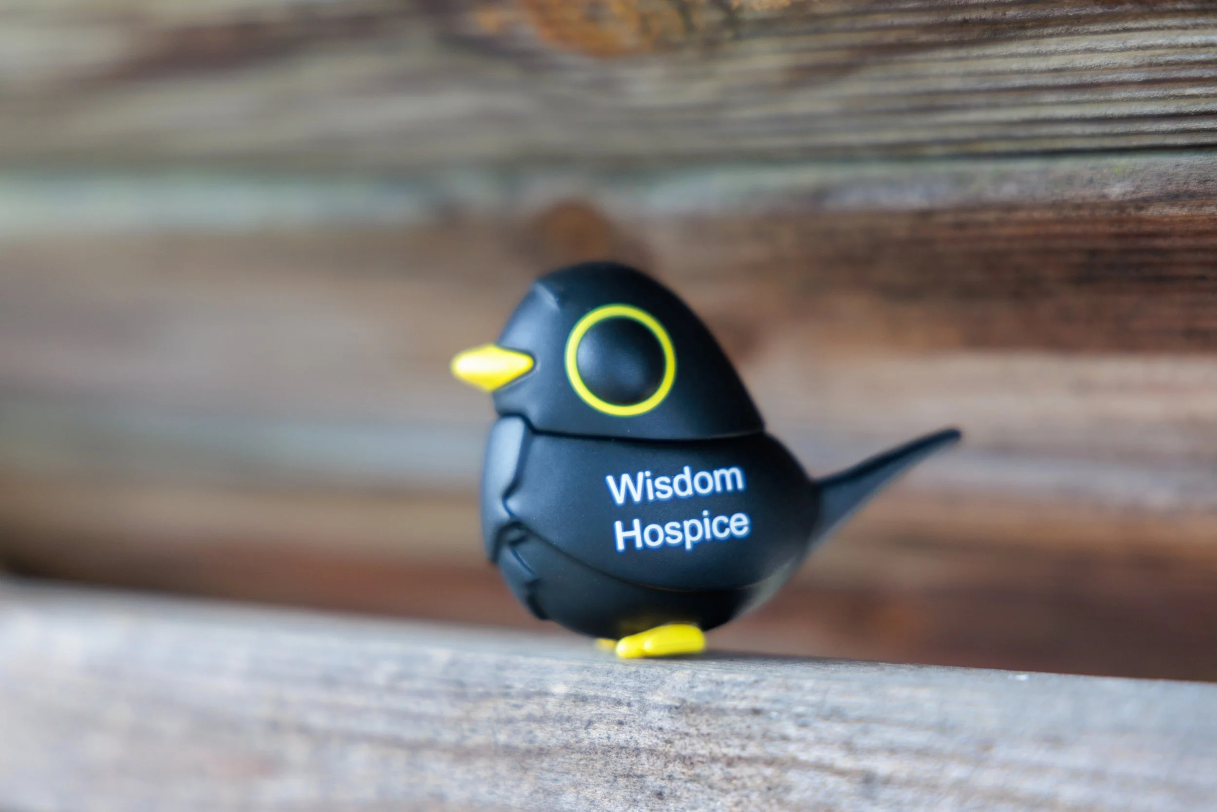 The Blackbird Project: Hatching at Wisdom Hospice