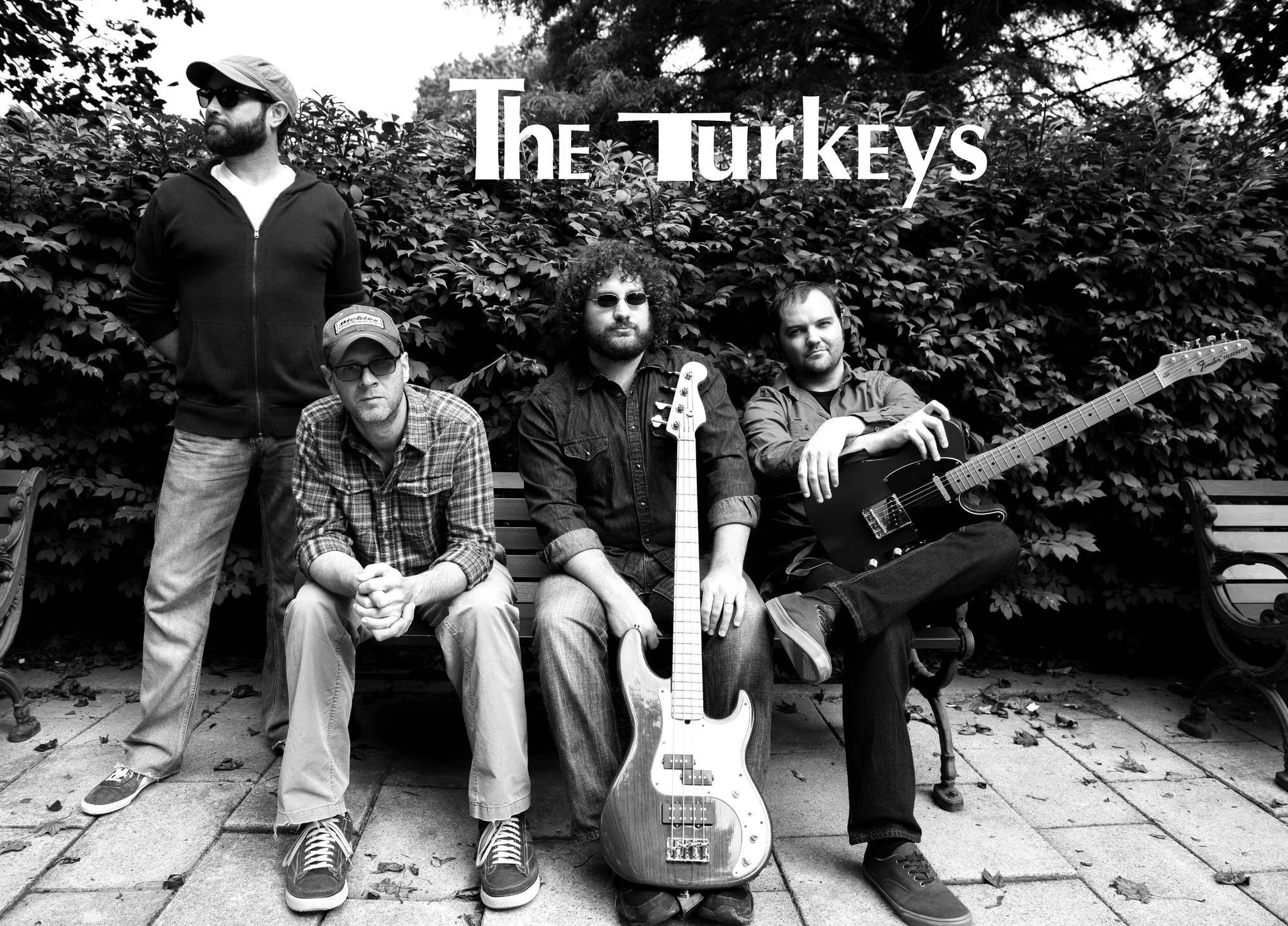The Turkeys Band