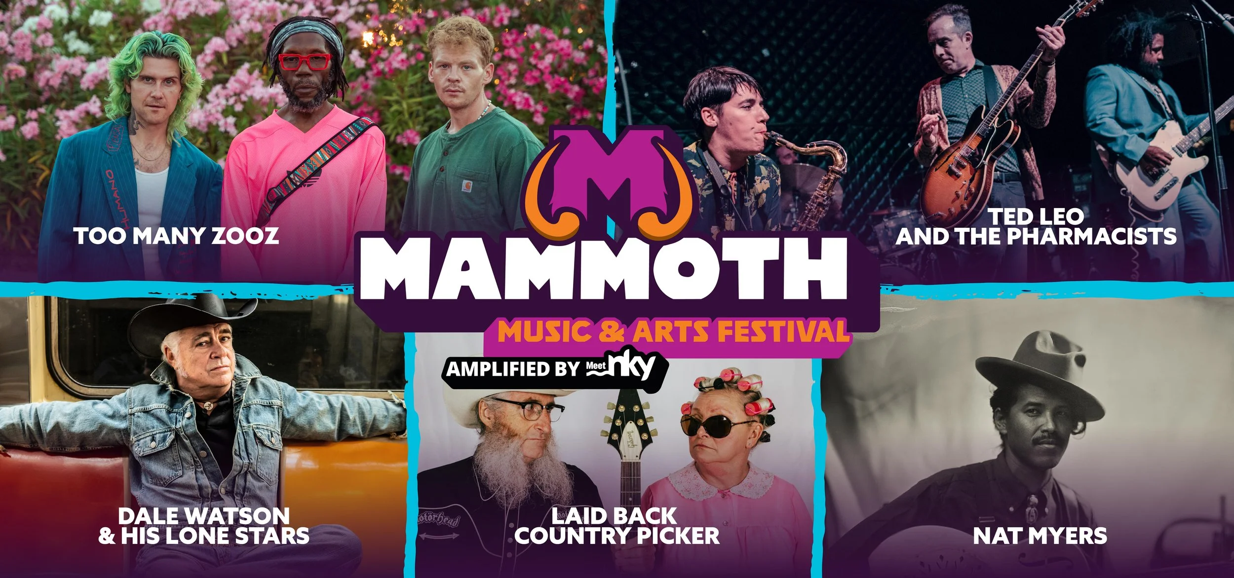 502289 MAMMOTH Headliner Graphics FINAL_Web Banner.jpg