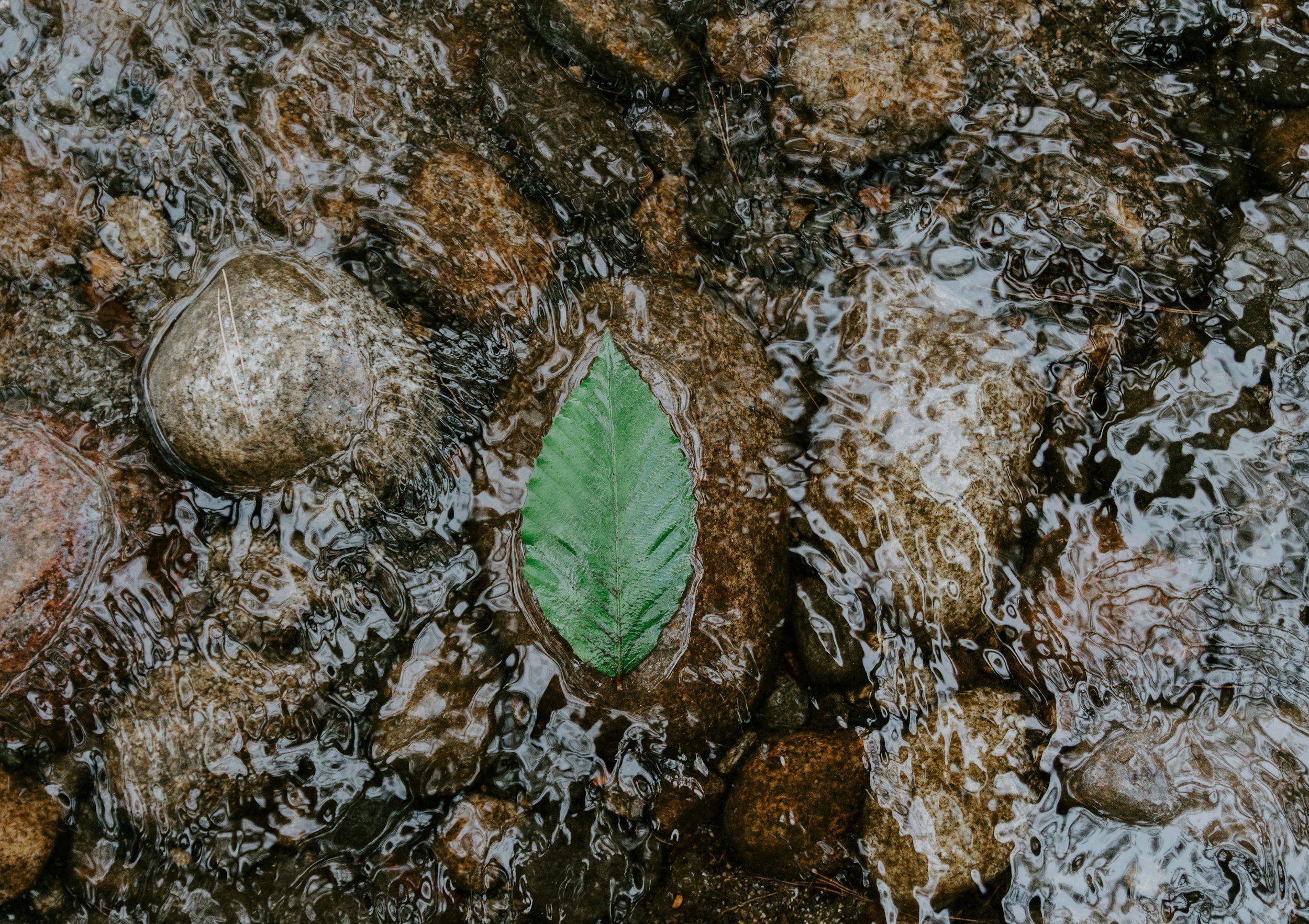 Finding Peace Within: The Transformative Power of Islamic Teachings on Mental Health