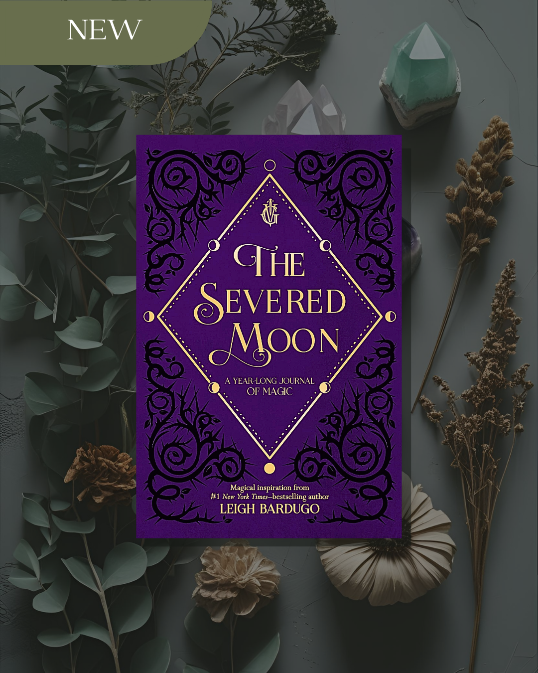 The Severed Moon: A Year Long Journey of Magic