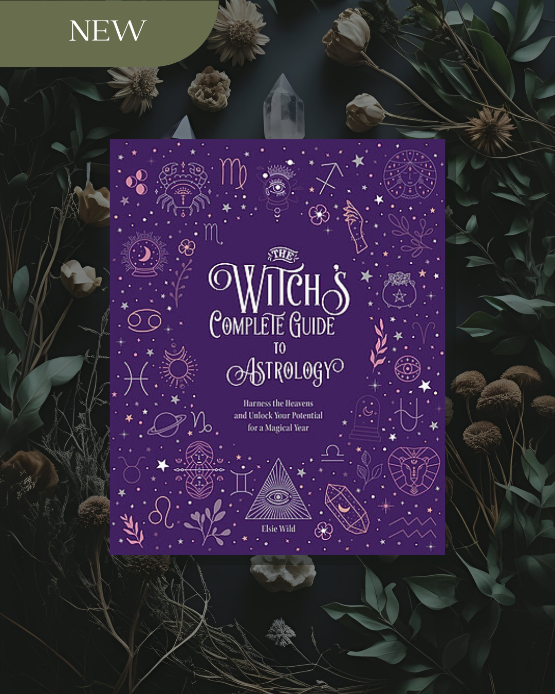 The Witch's Complete Guide to Astrology