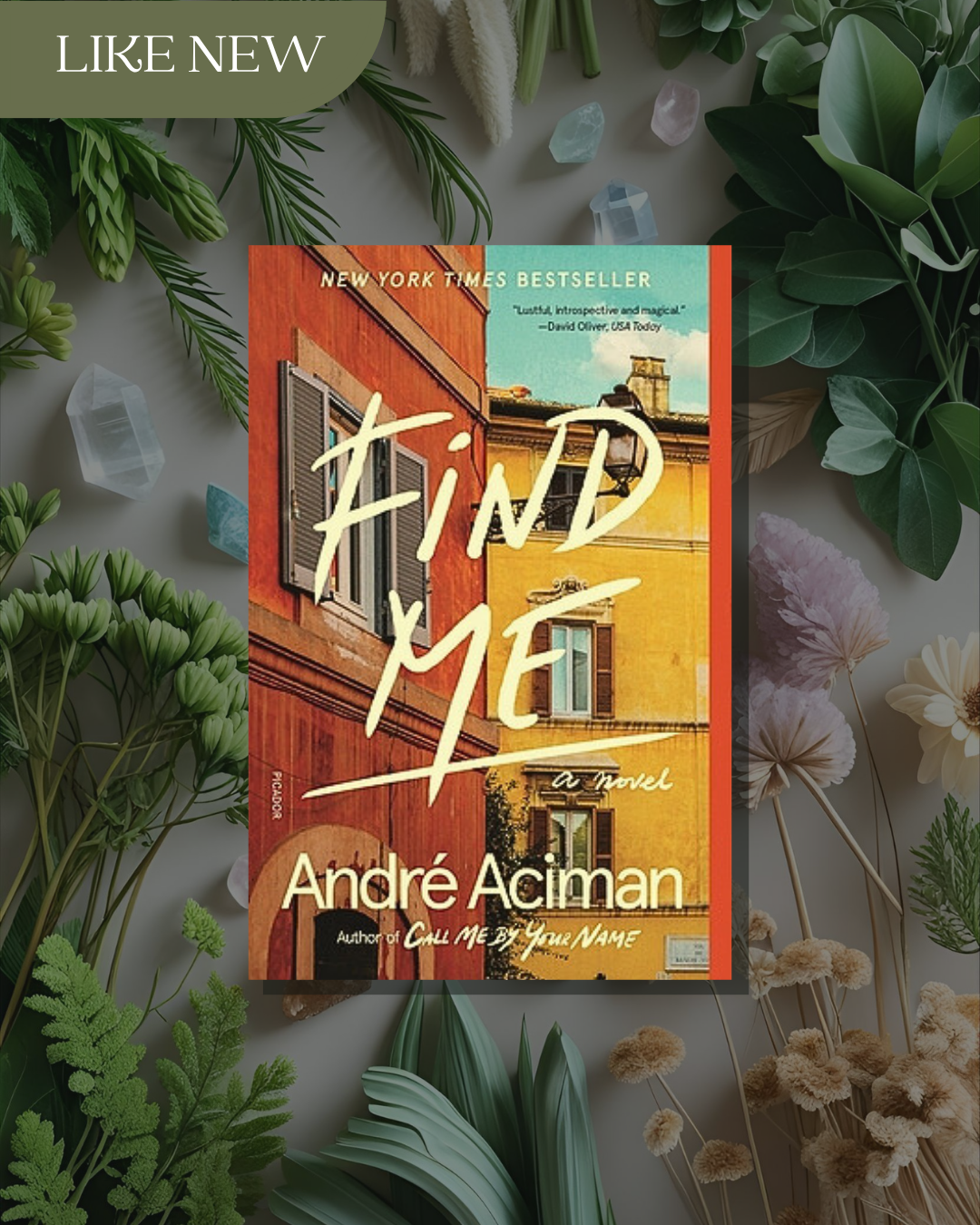 Find Me: A Novel